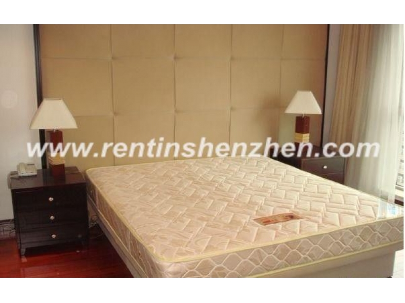 120sqm 3br Apartment in Shenzhen Luohu CBD near COCOPARK