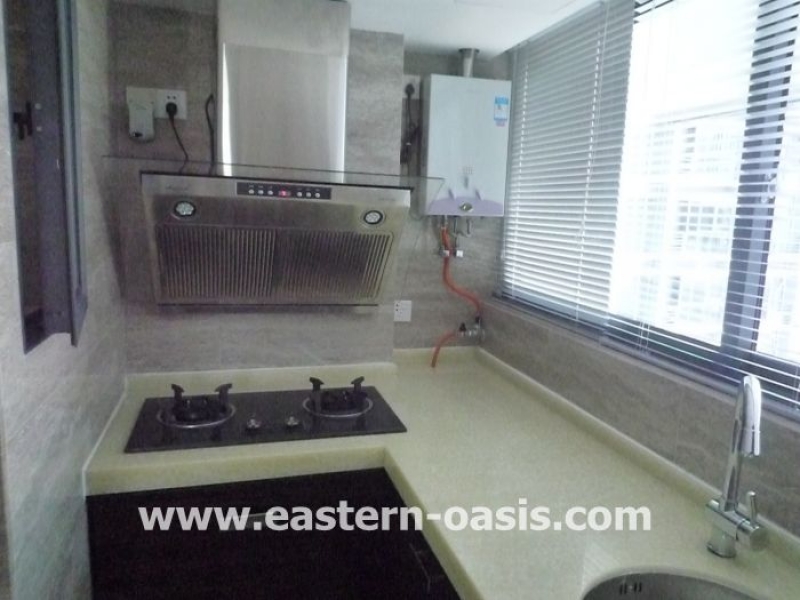 Apartment in Shenzhen / Futian / next to MIXC and Metro-4300