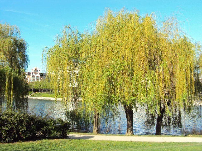 巴黎二/三圈Créteil Point du Lac 短租 简洁/舒适