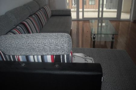 a one bed rm apt near wuhan university for rent